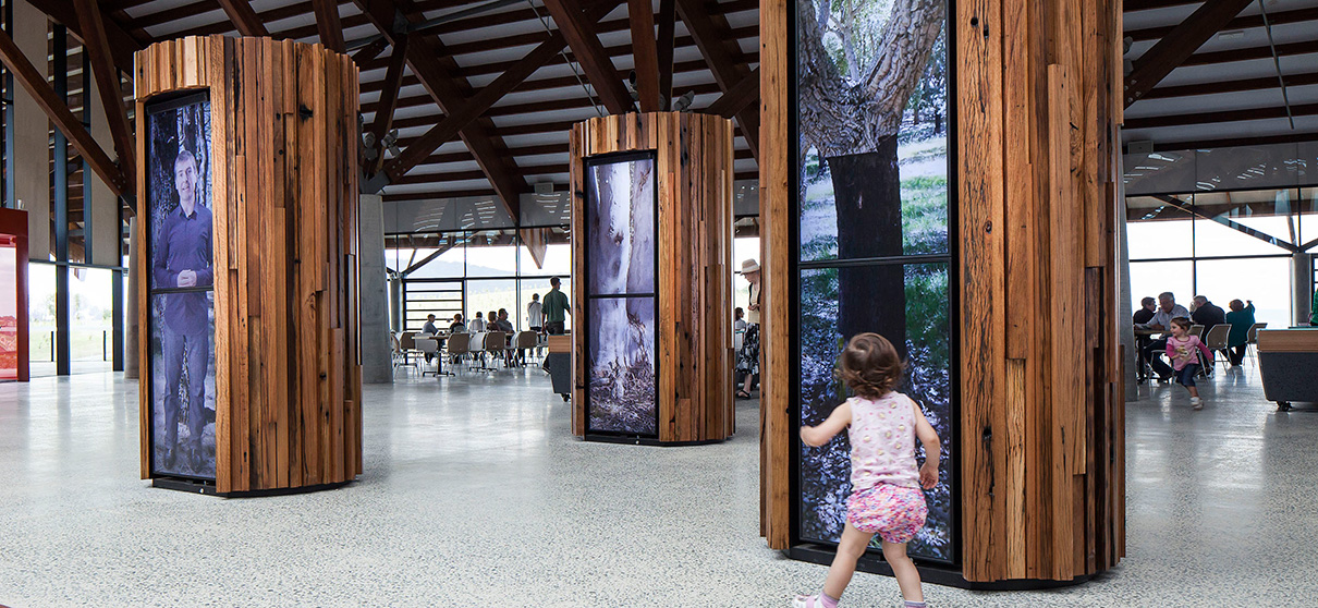 National Arboretum Canberra, Story Trees - Mental Media