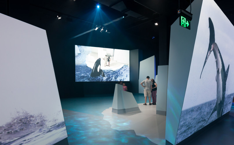 Nobbies Interpretive Centre, Appshaker – Broadcast Augmented Reality puts the visitor in the image