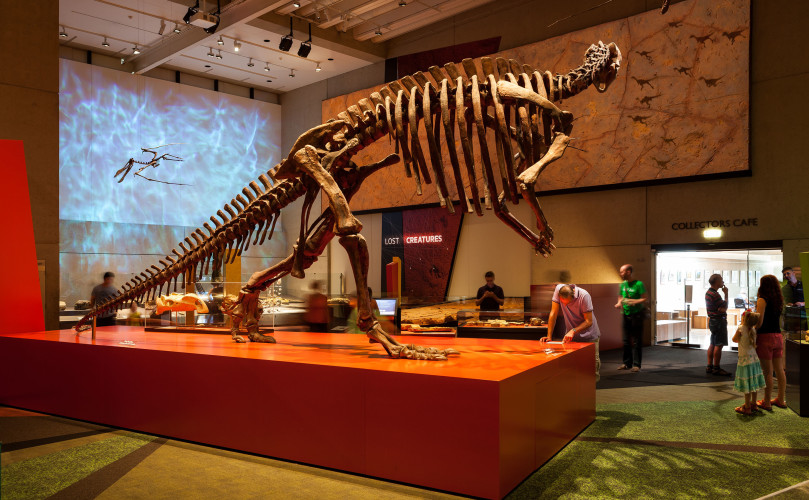 Queensland Museum, Lost Creatures – animated dinosaur shadows onto a replica section of the Trackway