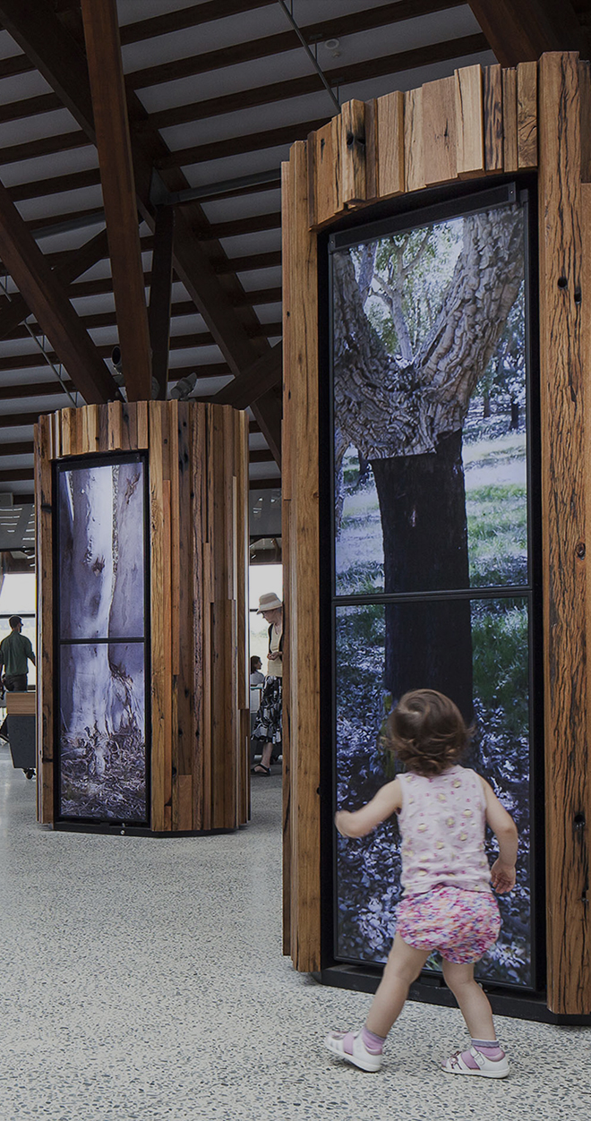 National Arboretum Canberra, Story Trees - Mental Media